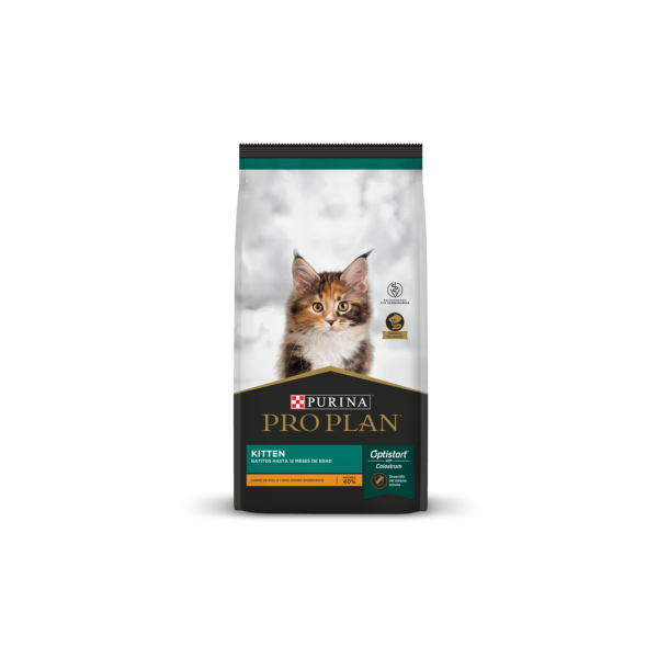 PROPLAN GATO KITTEN
