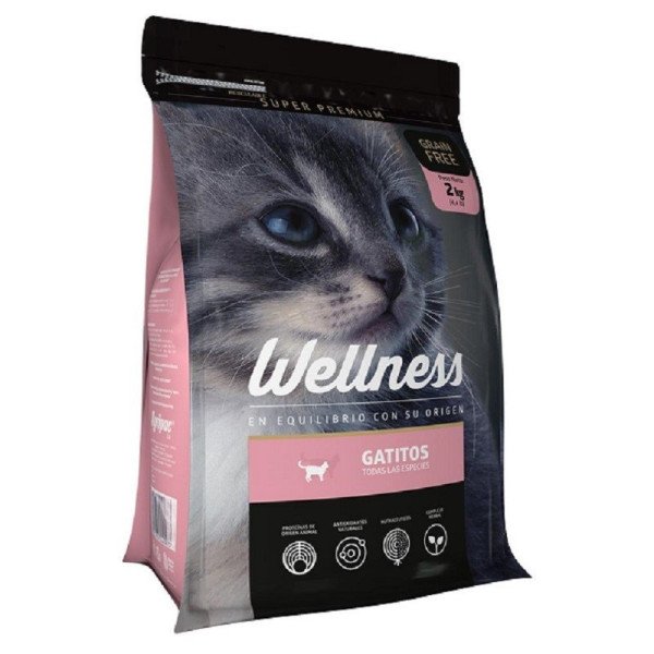 WELLNESS GATO KITTEN