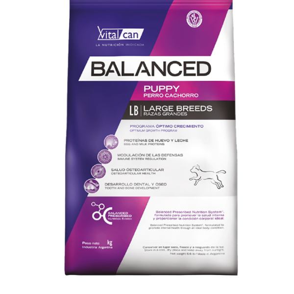 VITALCAN BALANCED CACHORRO RAZA GRANDE