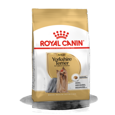 ROYAL MINI YORKSHIRE ADULTO PERRO/Mundo Mágico de la Mascota