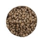 OWNAT PERRO ADULTO GRAIN FREE OILY FISH