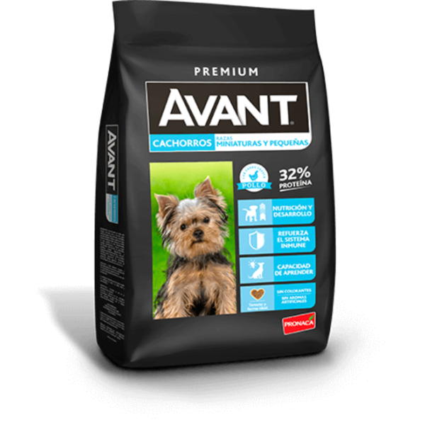 AVANT CACHORRO RAZA PEQUEÑA