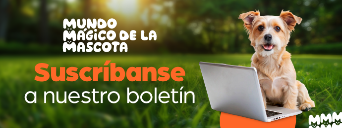 Suscríbete a nuestra newsletter